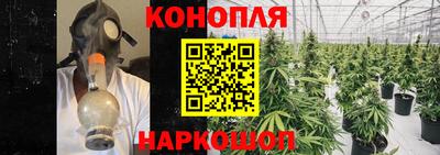 крисы Усть-Илимск
