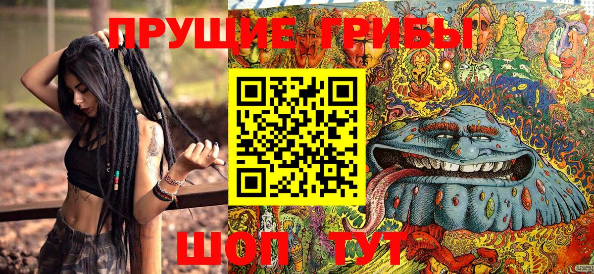 Богородицк  Галлюциногенные грибы MAGIC MUSHROOMS  Вход с VPN 